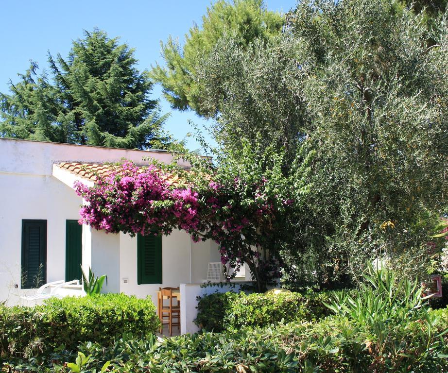 Villaggio Turistico Residence Delfino Vieste Eksteriør billede