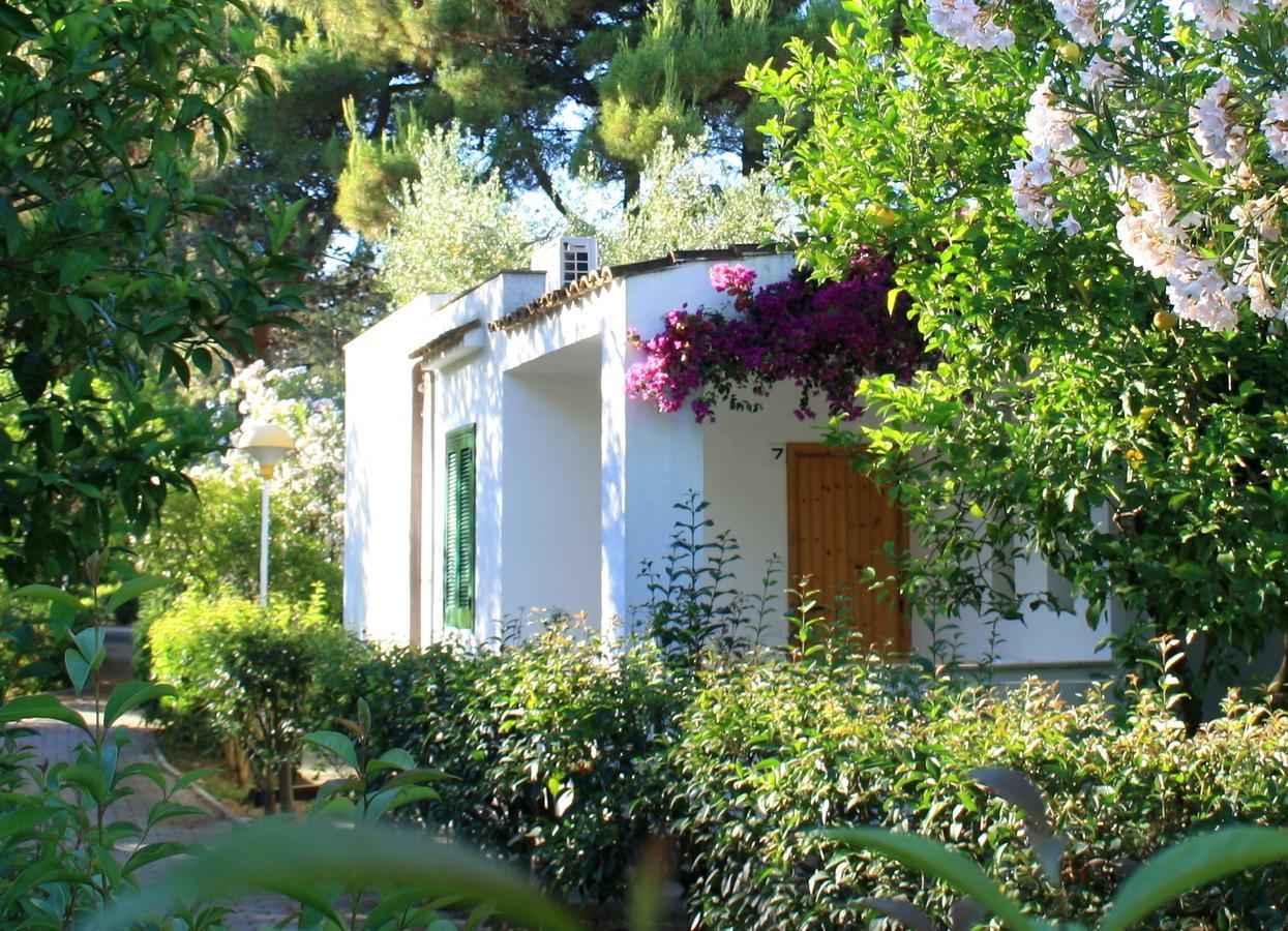 Villaggio Turistico Residence Delfino Vieste Eksteriør billede