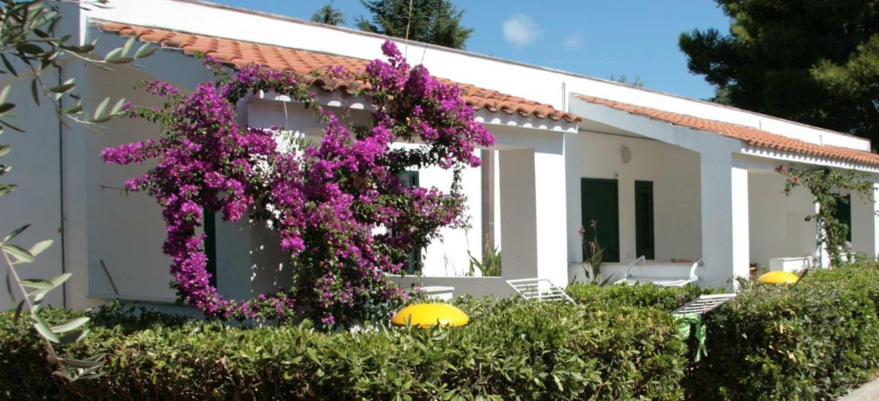Villaggio Turistico Residence Delfino Vieste Eksteriør billede